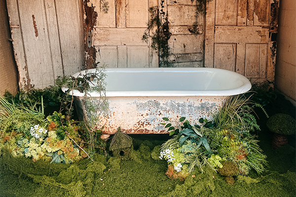 andromedaportfolio 1 copy